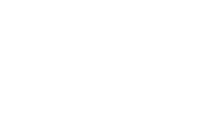 Bee Mad