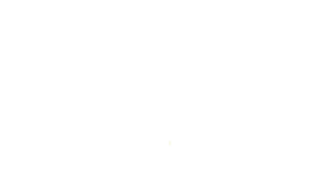 Computerland